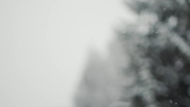 Slowmotion Footage of Snowfall in northern Italy