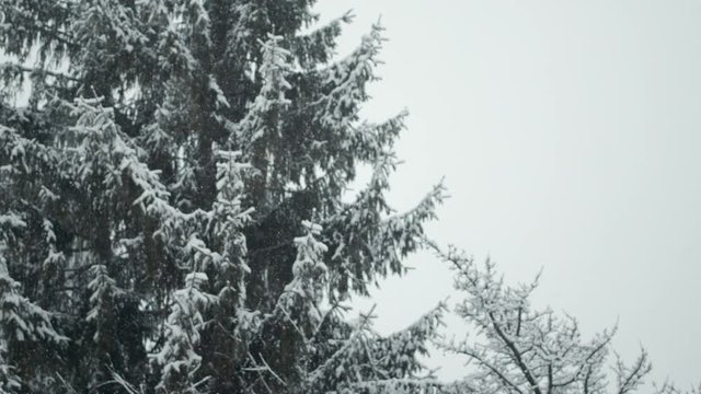 Slowmotion Footage of Snowfall in northern Italy