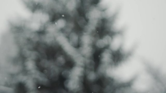 Slowmotion Footage of Snowfall in northern Italy