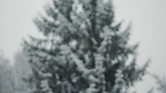 Slowmotion Footage of Snowfall in northern Italy
