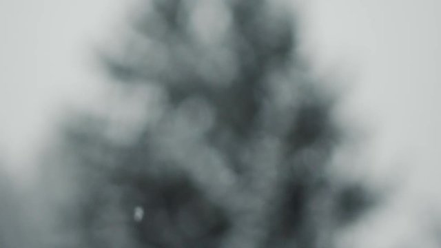 Slowmotion Footage of Snowfall in northern Italy