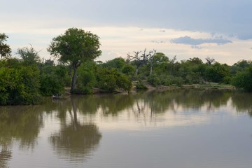 South African landscape