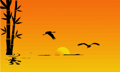egret  and crane bird