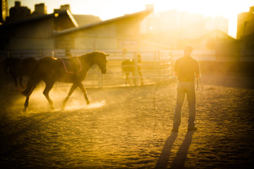 late afternoon horse work in the yards