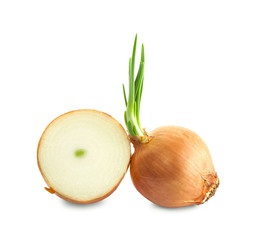 Ripe onion on a white background
