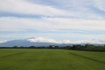 田園風景