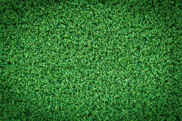 Fototapeta premium Grass texture or grass background. green grass for golf course, soccer field or sports background concept design. Artificial green grass.