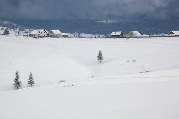 winter in the mountains - snow covered fir trees - Christmas background