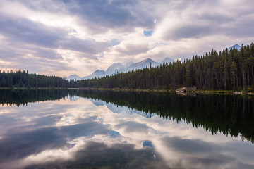Reflections on Herbert Lake