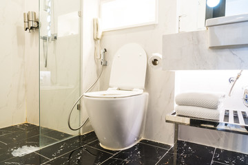 White toilet bowl seat