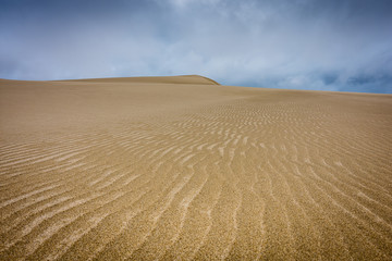 Fototapeta premium Sand Dunes