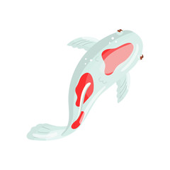 Naklejka premium Kohaki Carp Koi fish, traditional sacred Japanese fish vector Illustration
