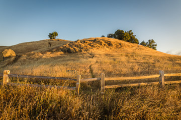 Mount Tam State Park