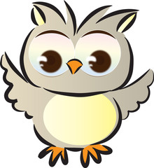 owl