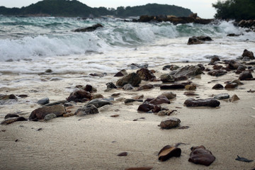 sea with stones