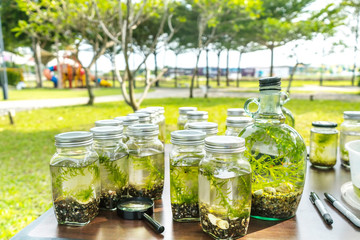 Plant with ecology conceptual.