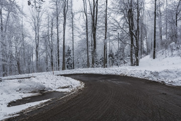 Winter landscape. Snow covered forest 