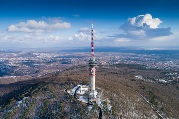 Obraz premium TV tower in forest