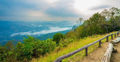 Fototapeta na wymiar Mountain Mist, thailand