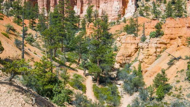 Green pine-trees on rock slopes. Spectacular view at the cliffs and cloud sky. Amazing mountain landscape. Nature video. Bryce Canyon National Park. Utah. USA. 4K, 3840*2160, high bit rate, UHD