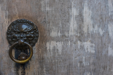 Demon Head Door Handle - on Wood - with room for text