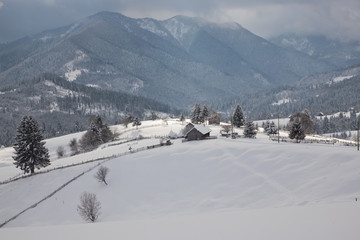 Fototapeta na wymiar winter in the mountains - small Romanian village in the Carpathians covered with snow