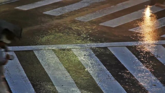 Crosswalk on a street in Tokyo during a typhoon. 
