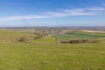 Fototapeta premium Cranborne Chase, Dorset, England