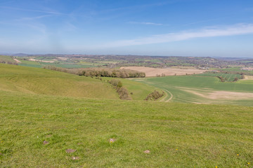 Cranborne Chase, Dorset, England