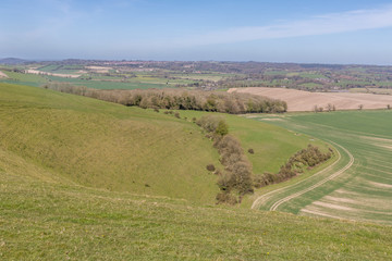 Fototapeta premium Cranborne Chase, Dorset, England