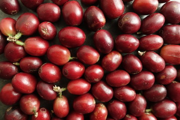 fresh coffee beans for background