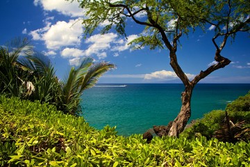 Fototapeta na wymiar Hawaiian view