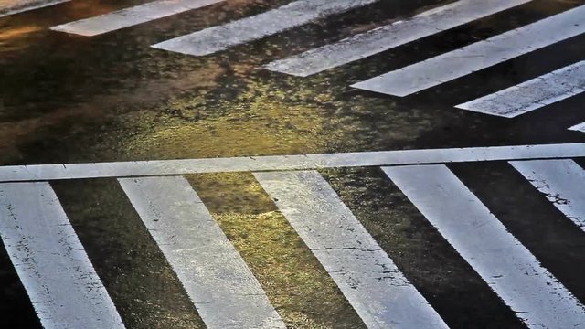 Crosswalk on a street in Tokyo during a typhoon.