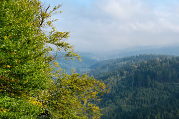 Herbst im Nationalpark Harz Renneklippen
