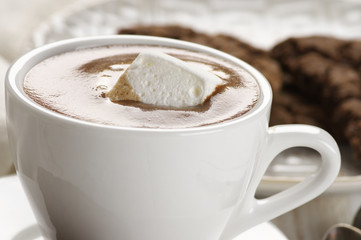 Hot chocolate and chocolate crinkle cookies