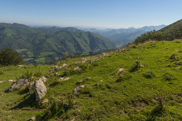 Les estives dans les Pyrénées au Col de Larrau.