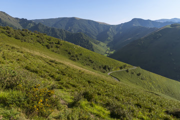 Naklejka premium Col de Bagargui près des Chalets d’Iraty, dans les estives des Pyrénées.