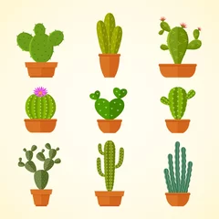 Zelfklevend Fotobehang Cactus in pot Cactus decoratieve huisplant in potten platte vector iconen