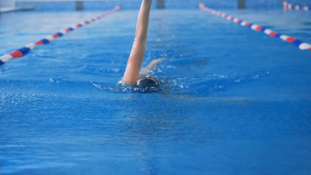 A female athlete swims in a pool using each arm in turn. 