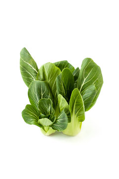 Cabbage Pak-choi (salad) on a clean white background. View from above.