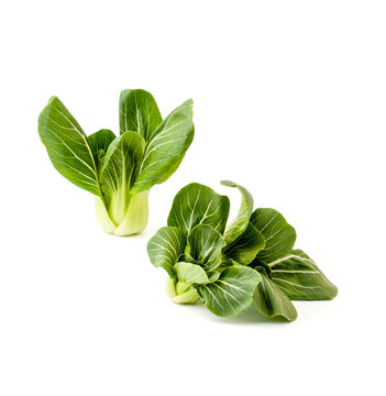 Two bunches Fresh green salad Pak-choi (Chinese cabbage) on a clean white background. Isolated.