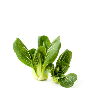 Fresh green salad Pak-choi (Chinese cabbage) on a clean white background. Isolated..