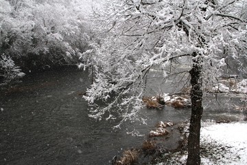 une rivière perdue dans la brume et la neige