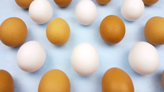 White and yellow easter eggs on pastel blue background close up macro.