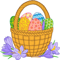 Happy Easter. Card of crocuses and Bright easter eggs in the basket isolated on white background.