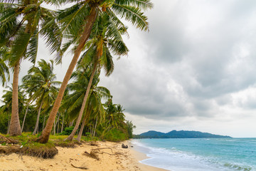 Dark stormy clouds gather above palm tree lined shoreline.