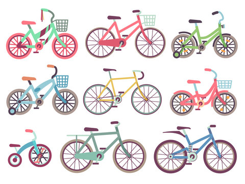 Urban family bikes flat vector set. Different bicycles collection