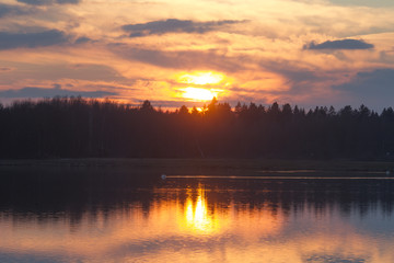 fiery sunset over the tops of pine forest