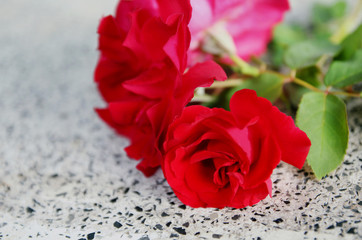 Naklejka premium Bouquet red rose on white marble background with copy space, concept of love and valentine's day.