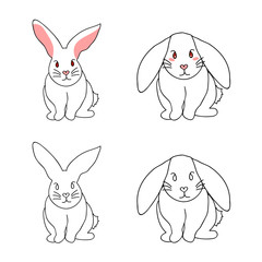 Cute White Rabbit isolated on White Background.